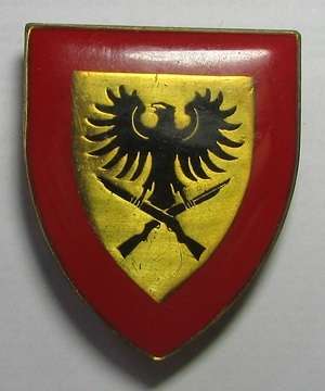 SADF - SWA 913 Battalion Pocket Flash