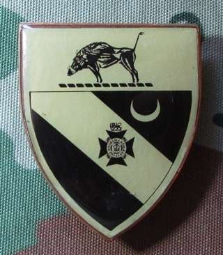 Rhodesia - Regiment Fantasy Flash