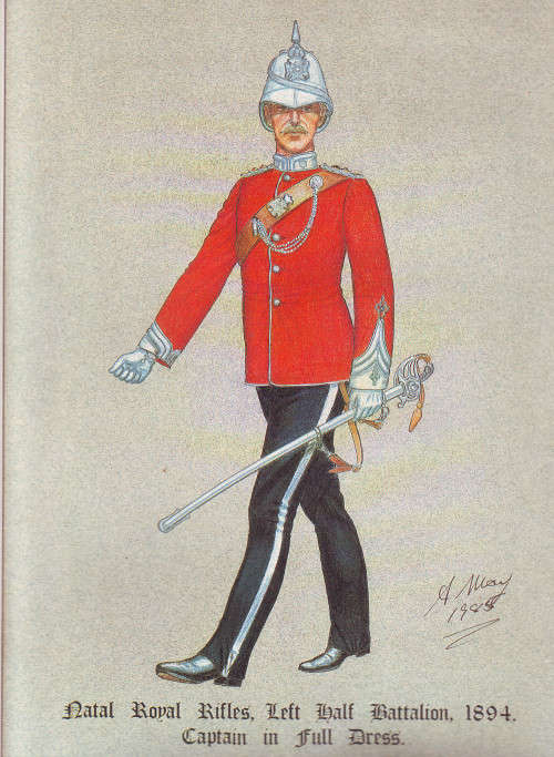 Durban Light Infantry Limited Print by  Andrew May - Natal Royal Rifles - Numbered 76/300