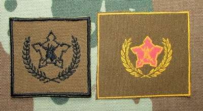 SADF - 5 Year Voluntary Service Badge Pair