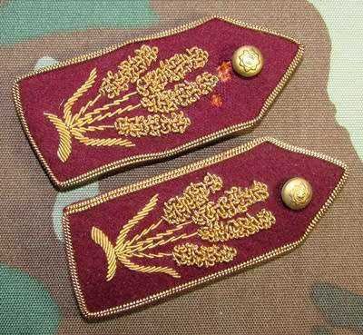 Bophuthatswana Police (Ex-Homelands) Senior Officers Gorget Pair on Felt