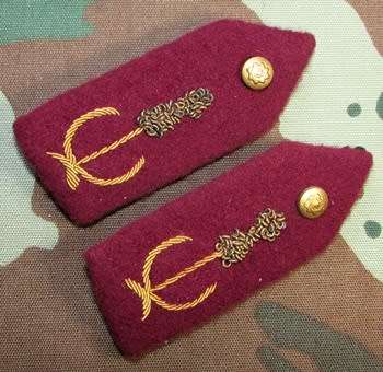 Bophuthatswana Police (Ex-Homelands) Senior Officers Gorget Pair on Felt