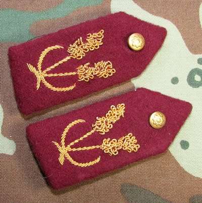 Bophuthatswana Police (Ex-Homelands) Senior Officers Gorget Pair on Felt