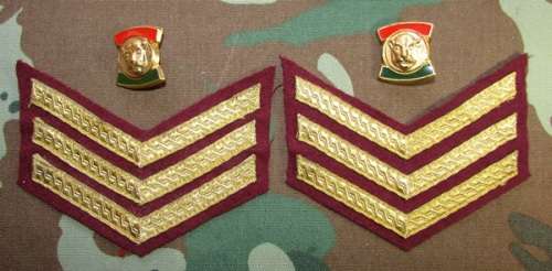 Bophuthatswana Police (Ex-Homelands) Rank Lot