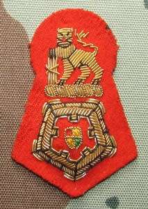 SADF - Brigadier Bullion Wire Cap Badge