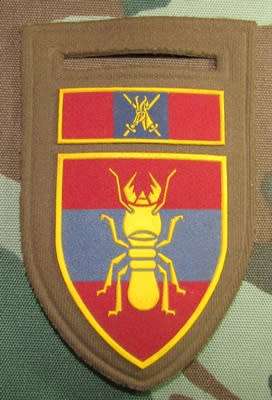 SADF - 1 Construction Regiment  Tupper Flash