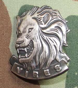 SADF - State Presidents Guard Cap Badge