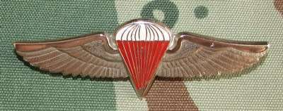 Zambia Freefall Qualification Full Size Wing