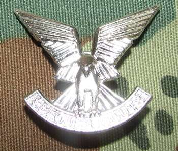 Rhodesia Selous Scouts Cap Badge ( Reuteler )