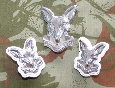 SADF - Army Intelligence Cap and Collar Set