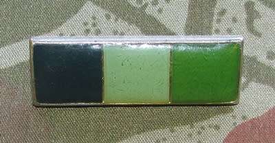 SADF - Signal Corps Beret Bar