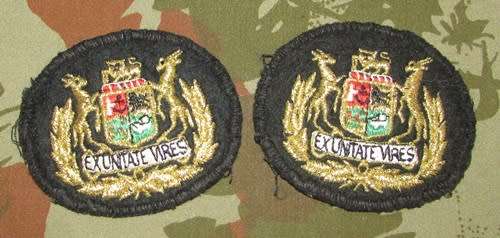 SADF - Navy WO Rank Pair