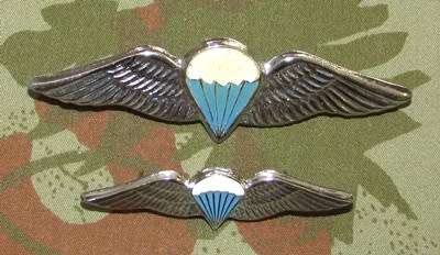 SADF - Disptacher Full and Mess Dress Wings