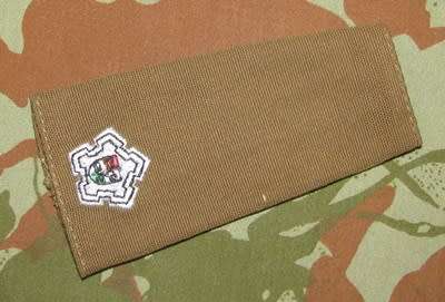 SANDF - Slip on Rank