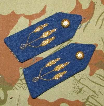 SAP Officers Gorget Pair