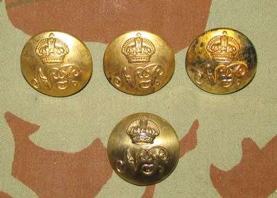 Natal Police Button Lot