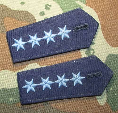 German Police Rank Epaulette Pair