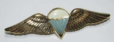 SADF - Parachute Wing - Full Size