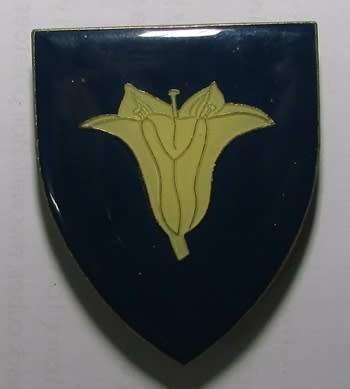 SADF - Bloemhof Commando Shoulder Flash