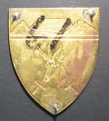 SADF - WP Command Shoulder Flash