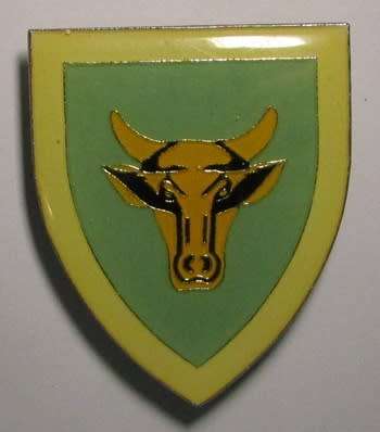 SADF - 117 SA Infantry Shoulder Flash