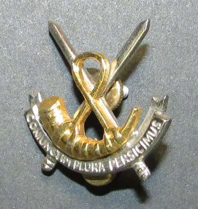 SADF - OFS Command HQ Cap Badge ( Approved 1989 - Not Easy to Find )