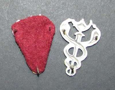 SADF - Medical Cops Nursing Badge Pair