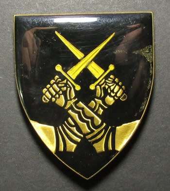 SADF - Regiment Bloemspruit Shoulder Flash