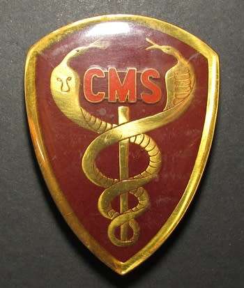 SADF - Medical Stores Shoulder Flash ( English )