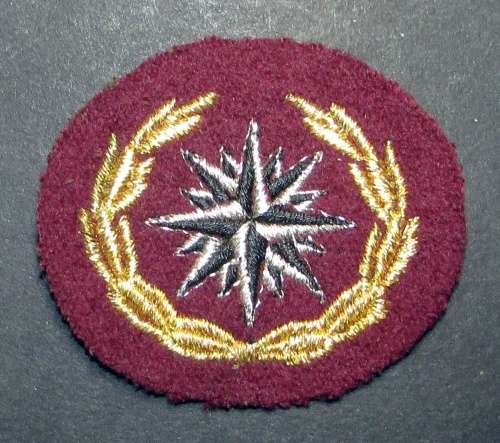 SADF - Special Forces/Recce Beret Badge (5th Issue)