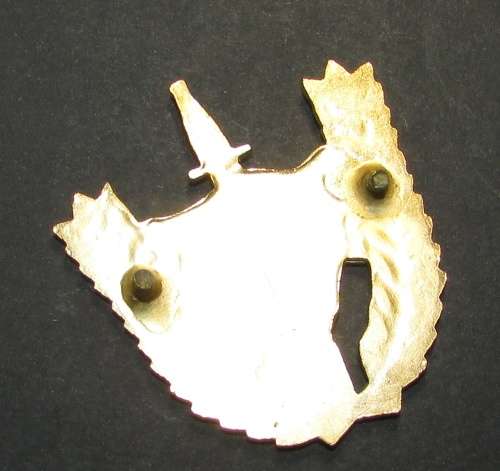 Border War Period Executive Outcomes Breast Badge