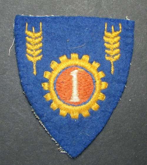 SADF - 1 Maintenance Shoulder Flash