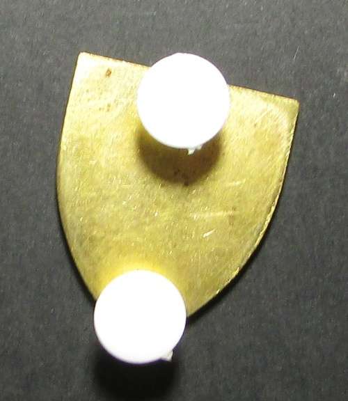 SADF - Delmas Commando Beret Badge