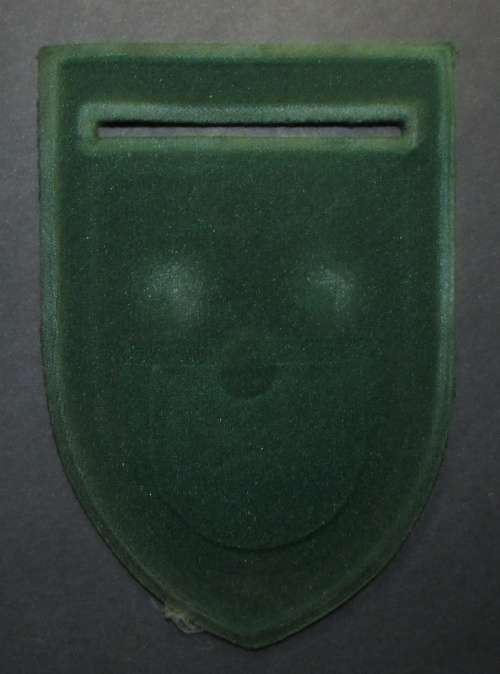 Correctional Services Tupper Flash