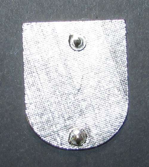 US Vietnam Era 1957 - 1975 5th Special Forces Badge