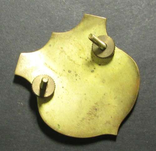 Traffic Police Badge