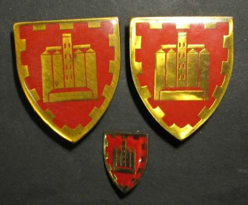 SADF - Delmas Commando Shoulder Flashes and Beret Badge