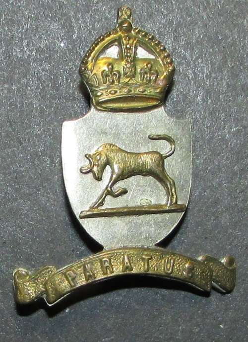 SADF - Army College Cap Badge