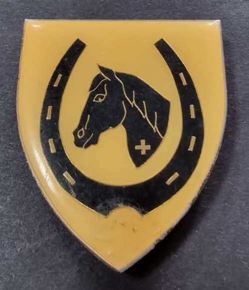 SADF - Equestrian Centre Shoulder Flash
