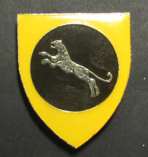 SADF - South West Africa 911 Battalion Pocket Flash