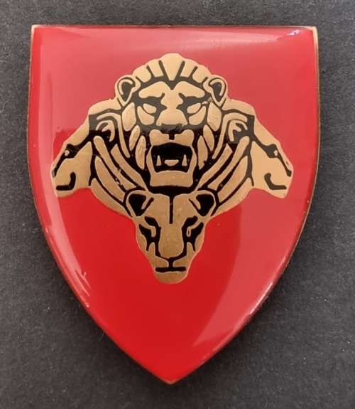 SANDF - Pride of the Nation Shoulder Flash