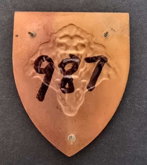 SANDF - Pride of the Nation Shoulder Flash