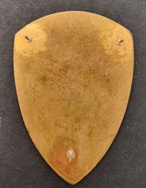 SADF - 14 Field Ambulance Shoulder Flash