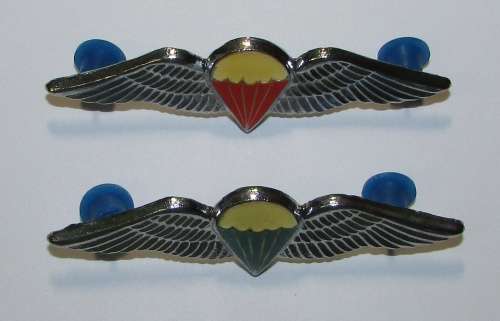 SADF - Full Size Parchute Wings - Static/Freefall Sold Together