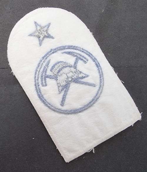 SADF - SA Navy Mustering Badge