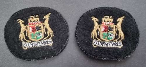 SADF - Navy WO Rank Badge Pair