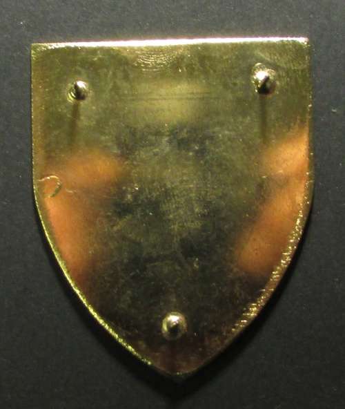 SADF/SANDF - 7 Medical Group Battalion Shoulder Flash