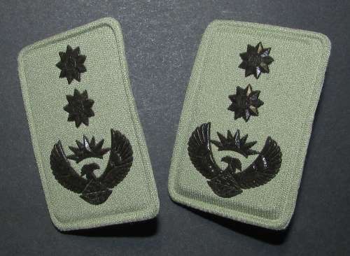 SA Army Colonel Rank Pair