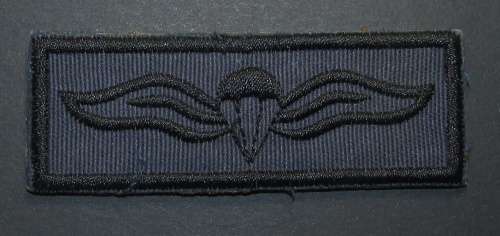 SA Police Basic Parachute Wing