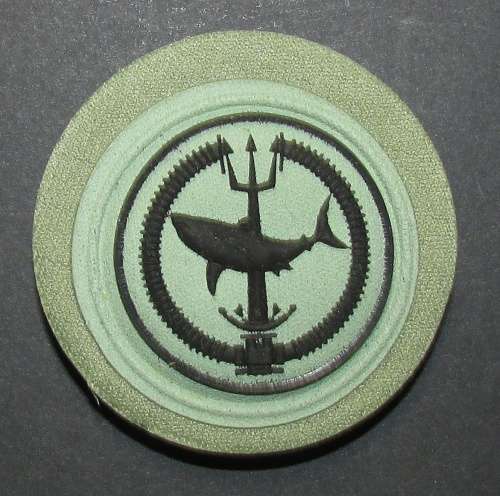 SA Army Special Forces ( Recce - Attack Diver ) Breast Badge